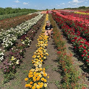 Фотография от САД МЕЧТЫ В ПМР ТАТЬЯНА