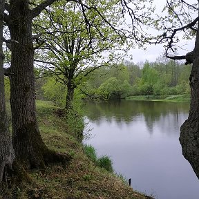 Фотография от Виктор Курашко