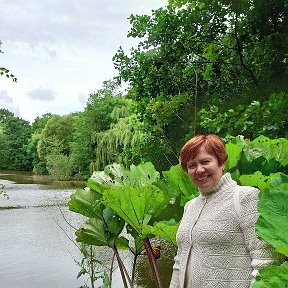 Фотография от Елена Верещагина