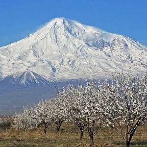 Фотография от Наири Григорян