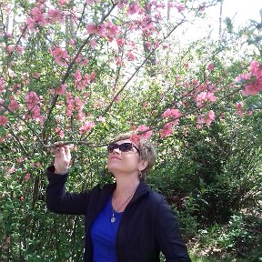 Фотография "Кисловодск 1 мая 2018, всё цветёт и благоухает!  Аромат в парке непередаваем! "