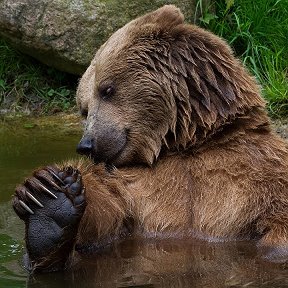 Фотография от александар кузменка