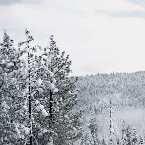 Фотография от Елена Кроливецкая