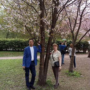 Фотография "Москва.Ботанический сад.Цветет сакура."
