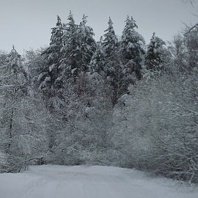 Фотография "Зима 2012г."
