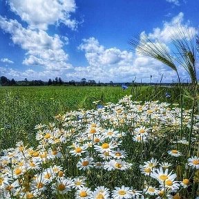 Фотография от Анна Болдарева(Григоренко)