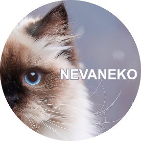 Фотография от Питомник Nevaneko