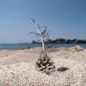 Фотография от Владимир Хованов