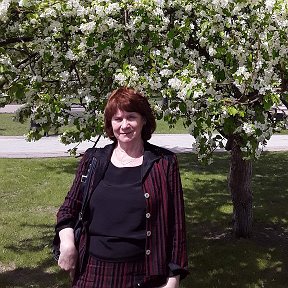 Фотография "Яблони в цвету - какое чудо,,,27 мая 2019 года Тобольский Кремль. "