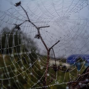 Фотография от Хасина Ганиуллина