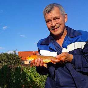 Фотография "спросила рыбка золотая скажи мне старче ну на кой, а тот молчит и засыпает мукой"