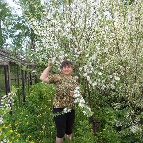 Фотография от Лилия Иванова (Новикова)