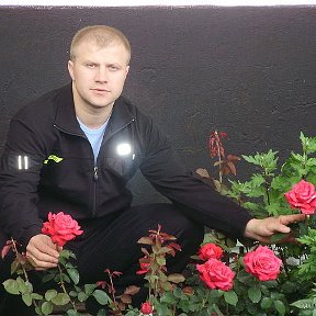Фотография "Люблю розы."