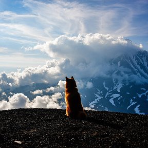 Фотография от Костя Аниксин