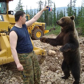 Фотография от Дмитрий Петухов