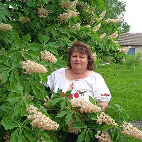 Фотография от НАТАША ЖАБЯК(ДОЦЕНКО)