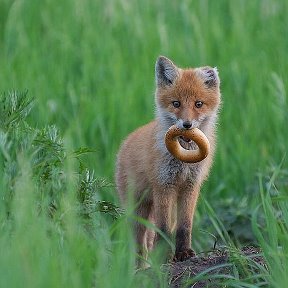 Фотография от 谷 廾丹丅丹人♭牙 谷