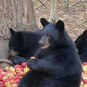 Фотография от Владимир Манеев