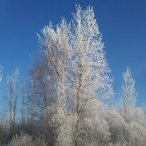 Фотография от Ольга Сидельникова