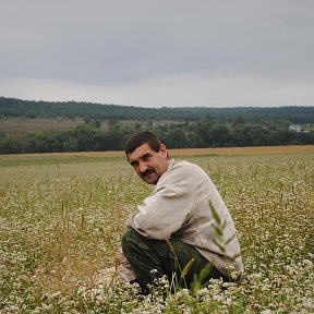 Фотография от ВладимирМёд Рязанцев (пчеловод)