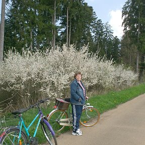 Фотография "Весна-велосипедная прогулка"