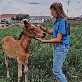 Фотография от Лера Щербакова