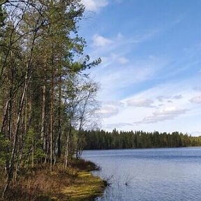 Фотография от Равис Фахртдинов