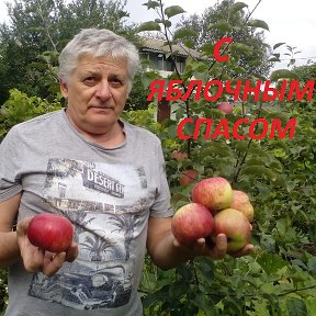 Фотография "2019 г. Первый урожай яблок."