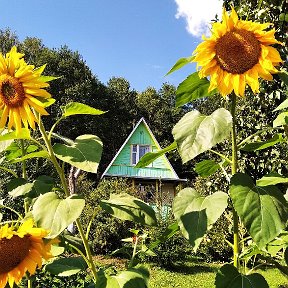 Фотография от Наталья Тюленева