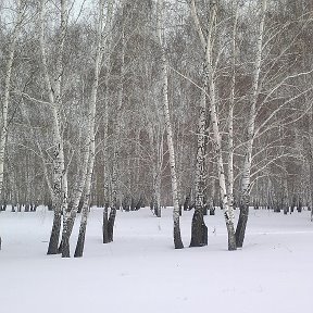 Лыжная база Горизонт Барабинск