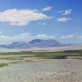 Фотография от Алим Белокобыльский