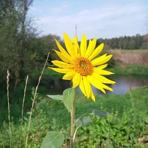 Фотография от Наталья Жук