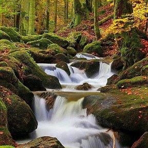 Фотография от Елена Таскаева