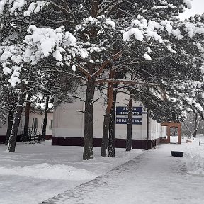 Фотография "🏠 Красноярский край
Березовский район
пгт.Березовка
ул.Центральная, 73
✅ пн-пт 9:00-19:00
✅ сб- 10:00-17:00
⚠ санитарный день - последний четверг месяца
☎ 8(39175)-2-70-47
     8 (39175) 2-12-15
е-mail: book55@mail.ru
 сайт: berbibl.krn.muzkult.ru"