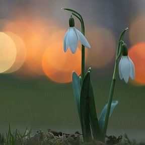 Фотография от Ирина Баенко