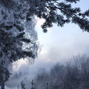 Фотография от Ольга Oльга