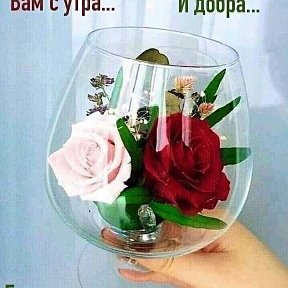 Фотография от 🌹🌹🌹 🌺🌺🌺