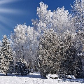 Фотография от Оlga Ignatova(Bledentsova)