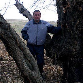 Фотография от Николай Волошин