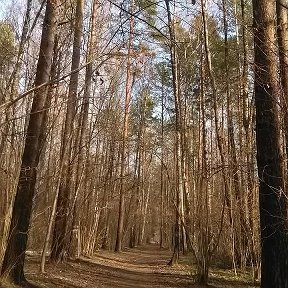 Фотография от Анастасия Родионова