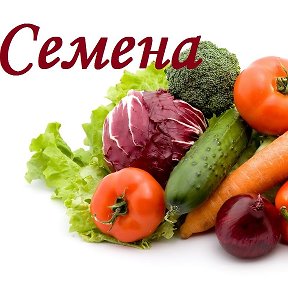 Фотография от Cемена 🍅 Овощные Культуры