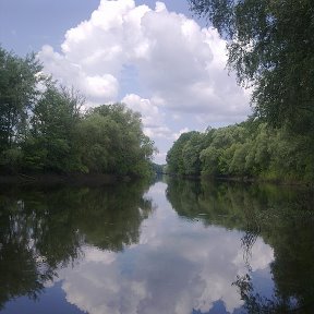 Фотография от Вася куксин