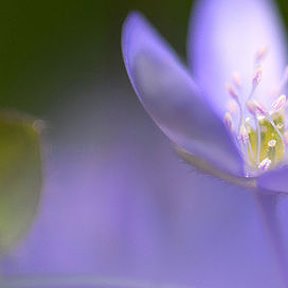 Фотография от Марина Гурина(Данилина)