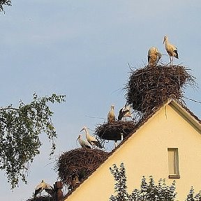 Фотография от Татьяна Весенина