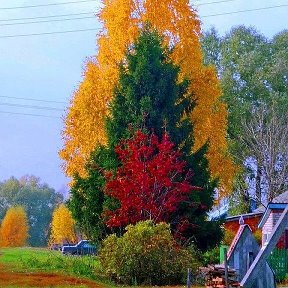 Фотография от Жизнь прекрасна К. Т. В. 80