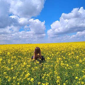 Фотография от Ольга Андросюк