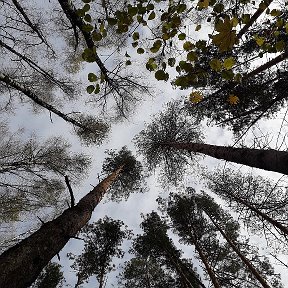 Фотография "Октябрьское небо"