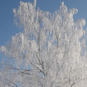 Фотография от Екатерина Лазаревич  (Кириченко)