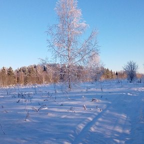 Фотография от олег гвоздев