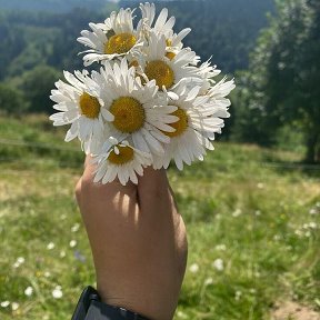 Фотография от Людмила Конюкова